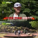 짱!입니다. 이미지