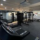 와이필라앤피티 이미지