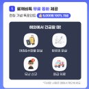 섬심카닥터 | 로밍도깨비 나트랑 이심 eSIM 무제한 후기 | 로깨비톡 사용 베트남 여행 준비물 추천 (2026 내돈내산)