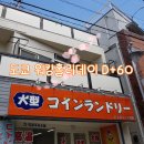 🇯🇵 일본 워킹홀리데이 D+60 • 야스미/코인란도리/다이칸야마 카페 미스터 프렌들리/하치코버스/시부야...