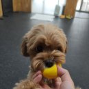 워니시티 이미지