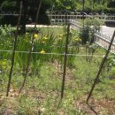 사직중학교 이미지