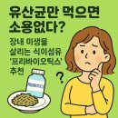 비옥상회 | 유산균만 먹으면 소용없다? 장내 미생물 살리는 식이섬유 '프리바이오틱스' 추천