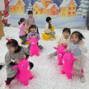 바다의별유치원 이미지