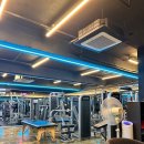 더 세이짐 이미지