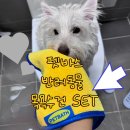 바스멍 | 펫바스 반려동물 목욕수건 SET 사용후기