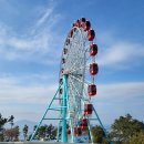 아라마루아쿠아카페 | [경남] 사천 가볼만한곳 "아라마루 아쿠아리움" 케이블카 카페아쿠아 하마 슈빌 관람 후기