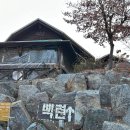 [남양주 : 백련] 남양주 이색 야외 바베큐 캠핑장 레스토랑