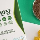 자담인푸른섬