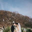 청담여행사 이미지