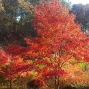 비산농장 이미지