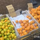 동서청과 - 부평구 대정로 37-5 | 동서청과