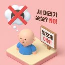 [속보] "1,000원의 기적?" 그래비티 샴푸 후기 대박 나고 '현타' 온 썰 (feat. 1년 쓰는 비법)