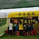 경북종합카센타 | 경북 영주 풍기인삼축제