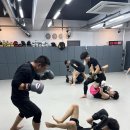 팀매드청주