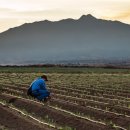 규정농장 이미지