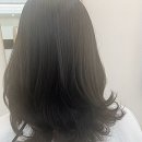 헤어르뽀렘 무거점