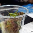 주산농장2 이미지