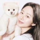 세이렌스튜디오 네이버블로그