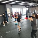 순천 엘리트복싱 이미지