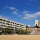 대건조이 이미지