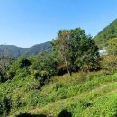 부용쉼터 이미지