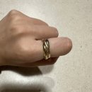 트리니티 | 검지반지 까르티에 트리니티링 스몰 후기(1)