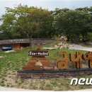 금대자동차야영장(치악산국립공원) 이미지