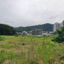 백운밸리주유소 이미지