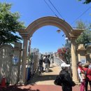 장일샐프타운 이미지