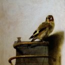 영화-미나리 이미지