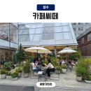 흑당&CAFE | 성수 대형카페 테라스가 있는 카페씨떼(cafe cite)