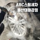 사라크리닝 | 울산스팀세차 중구 손세차 추천 ABC스팀세차 울산태화강점