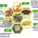 산물 이미지