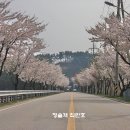 수산교차로(동측) 네이버블로그