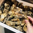 송도 조개구이 무한리필 이미지