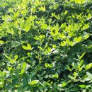 환이농장 이미지