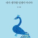 지나가다봄 이미지