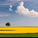 명상으로 치유하는 삶 이미지