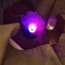 비스타한의원 | 해운대 유레카마사지 120분 동안 몸이 다시 태어났다! 해운대마사지 찐 후기