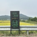 라파마을 | 경주 신상 한옥 대형카페 노경보차라파 내돈내산후기