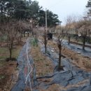 문석농장 이미지