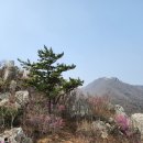 해남/강진 朱雀山(428m)을 다녀와서 이미지