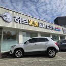 허브동물메디컬센터 | 남양주 마석 동물병원 허브동물메디컬센터 고양이 방광염