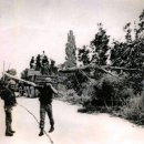 박정희로-15 이미지