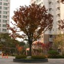 e-편한세상 이미지