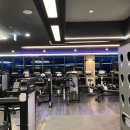 쏘마휘트니스 삼송신원점 | 삼송 헬스장 옐로우휘트니스 삼송신원점에 다니고 있는 후기입니다