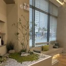 아이디약국 | 대전 도안동미용실 아이디헤어 대전도안점 레이어드컷 씨컬펌 솔직후기