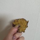 바이슈기 | [리뷰/후기] 두바이 소금빵 두바이 쫀득빵 두바이쫀득볼 두바이 디저트 성지 은평구 쿠쿠당에...