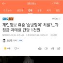 솜방망이 이미지